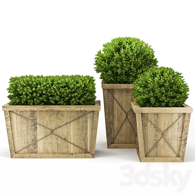 Plants – Flowers – 3D Models Download – Collection of Plants V Plants – Flowers – 3D Models Download – Collection of Plants V