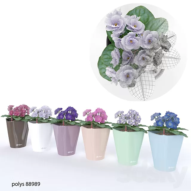 Plants – Flowers – 3D Models Download – Colored violets Plants – Flowers – 3D Models Download – Colored violets