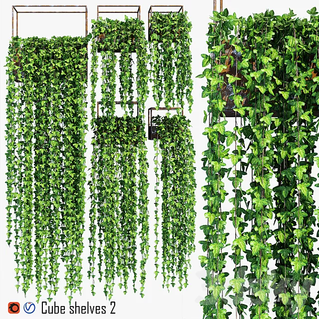 Plants – Flowers – 3D Models Download – Cube shelves 2 Plants – Flowers – 3D Models Download – Cube shelves 2