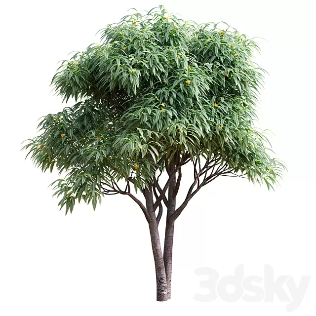Plants – Flowers – 3D Models Download – Deciduous Tree With Fruit Medlar Plants – Flowers – 3D Models Download – Deciduous Tree With Fruit Medlar