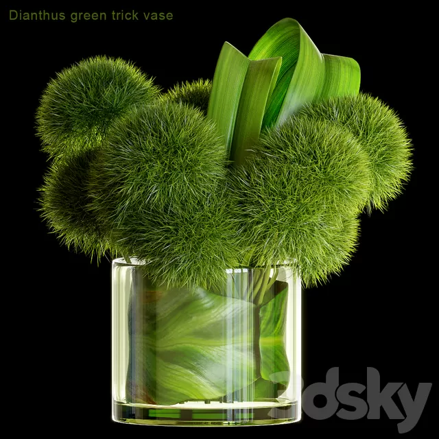 Plants – Flowers – 3D Models Download – Dianthus green trick vase Plants – Flowers – 3D Models Download – Dianthus green trick vase