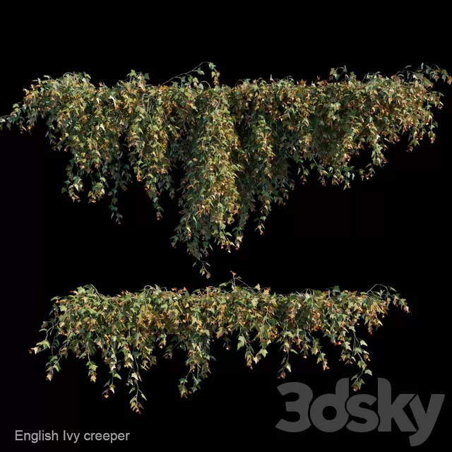 Plants – Flowers – 3D Models Download – English Ivy creeper (max; fbx) 3d model Plants – Flowers – 3D Models Download – English Ivy creeper (max; fbx) 3d model