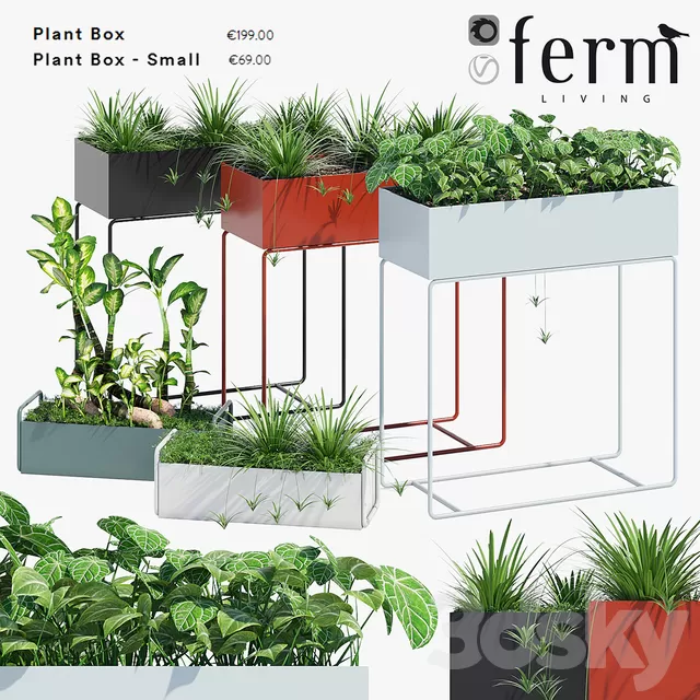 Plants – Flowers – 3D Models Download – Fermliving plant box Plants – Flowers – 3D Models Download – Fermliving plant box
