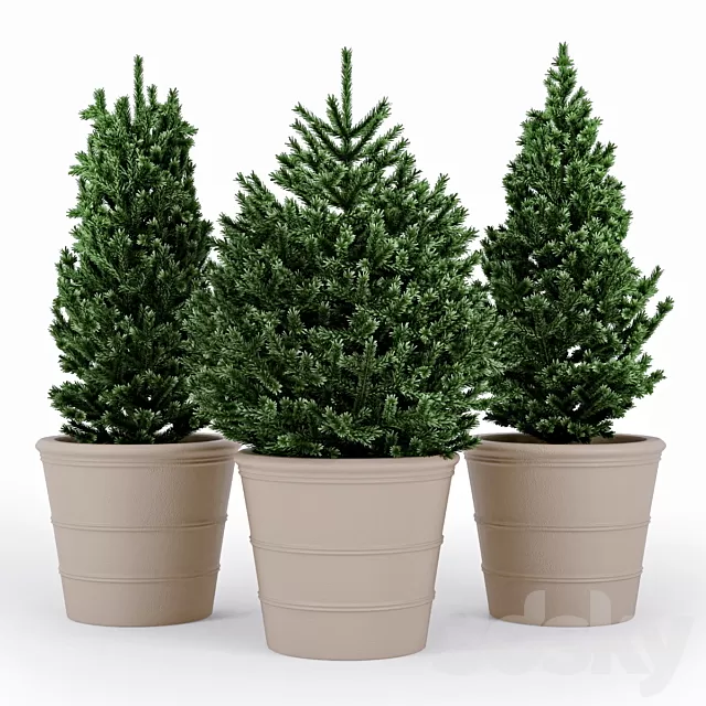 Plants – Flowers – 3D Models Download – FirTree Plants – Flowers – 3D Models Download – FirTree