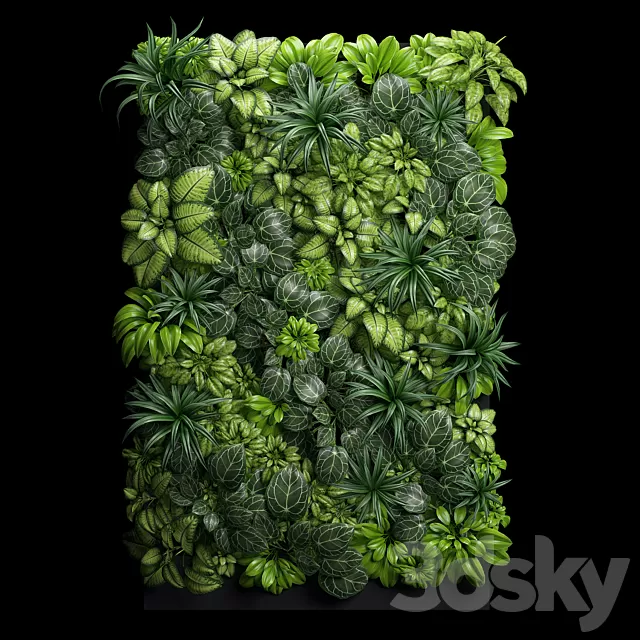 Plants – Flowers – 3D Models Download – Fitostena 02 Plants – Flowers – 3D Models Download – Fitostena 02
