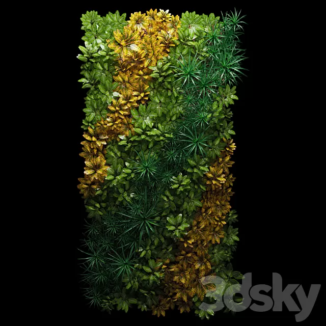 Plants – Flowers – 3D Models Download – Fitostena Plants – Flowers – 3D Models Download – Fitostena