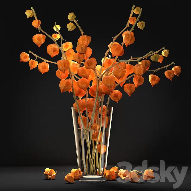 Plants – Flowers – 3D Models Download – Fizalis. 2 Plants – Flowers – 3D Models Download – Fizalis. 2