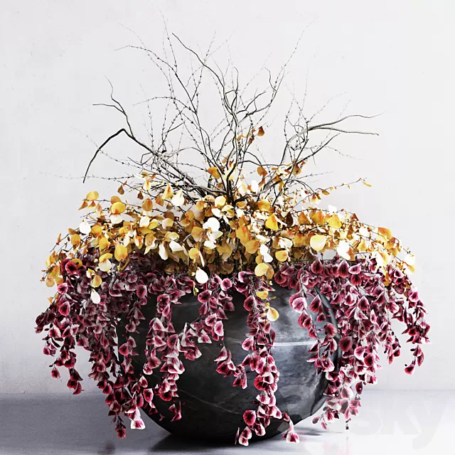 Plants – Flowers – 3D Models Download – Flower Bed Plants – Flowers – 3D Models Download – Flower Bed