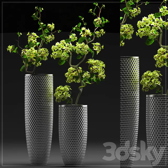 Plants – Flowers – 3D Models Download – FLOWER SET 3 Plants – Flowers – 3D Models Download – FLOWER SET 3