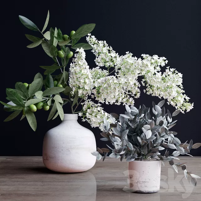 Plants – Flowers – 3D Models Download – Flowers; branch Plants – Flowers – 3D Models Download – Flowers; branch