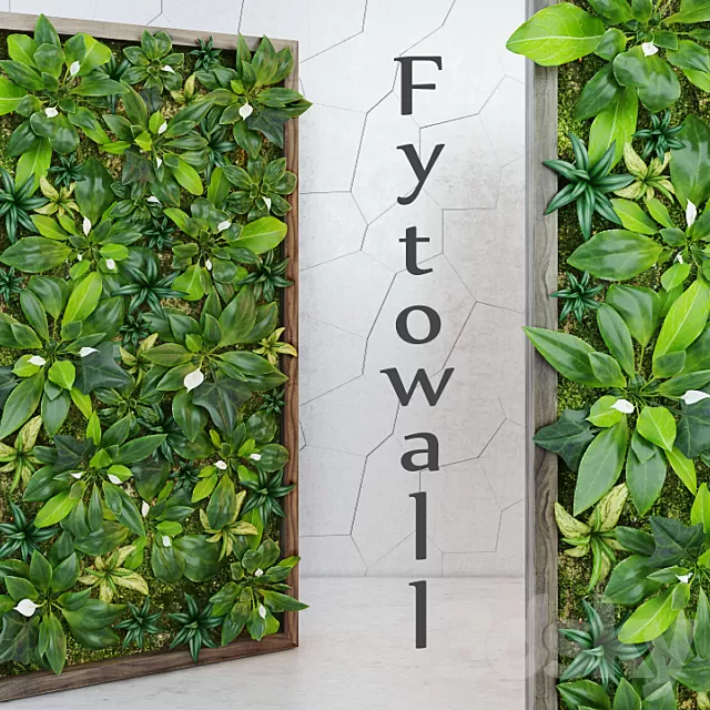 Plants – Flowers – 3D Models Download – Fytowall Spatifilum Plants – Flowers – 3D Models Download – Fytowall Spatifilum