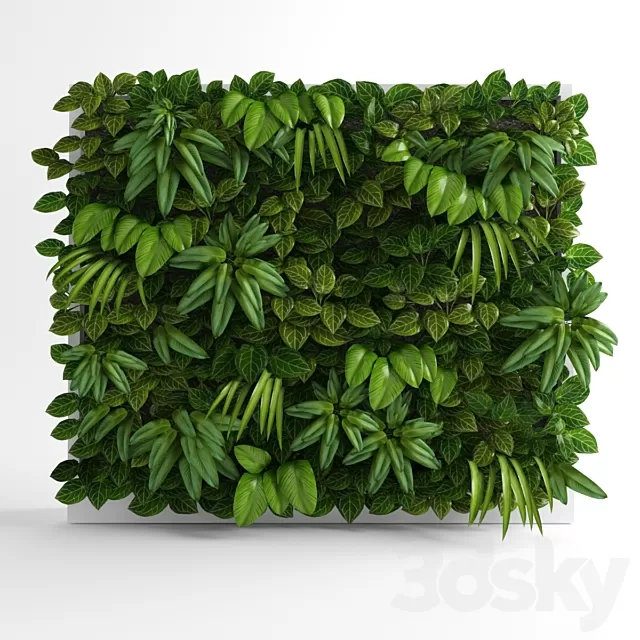 Plants – Flowers – 3D Models Download – Green wall 03 Plants – Flowers – 3D Models Download – Green wall 03