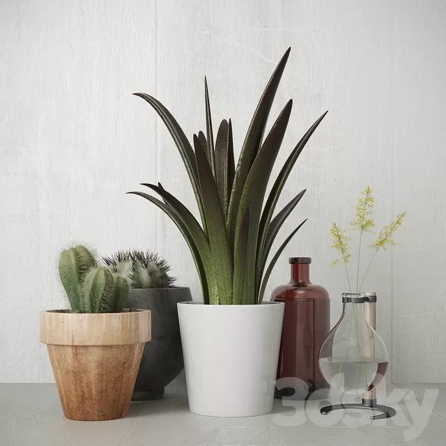 Plants – Flowers – 3D Models Download – Greens set 2 Plants – Flowers – 3D Models Download – Greens set 2