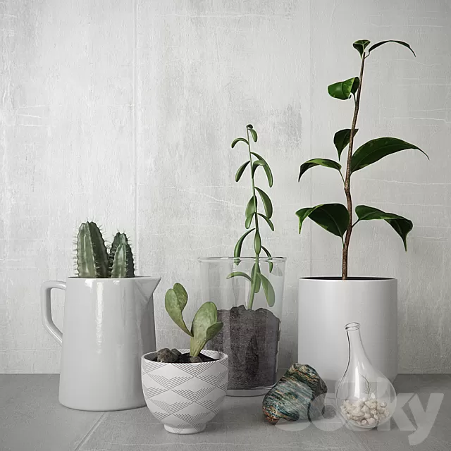 Plants – Flowers – 3D Models Download – Greens Set Plants – Flowers – 3D Models Download – Greens Set