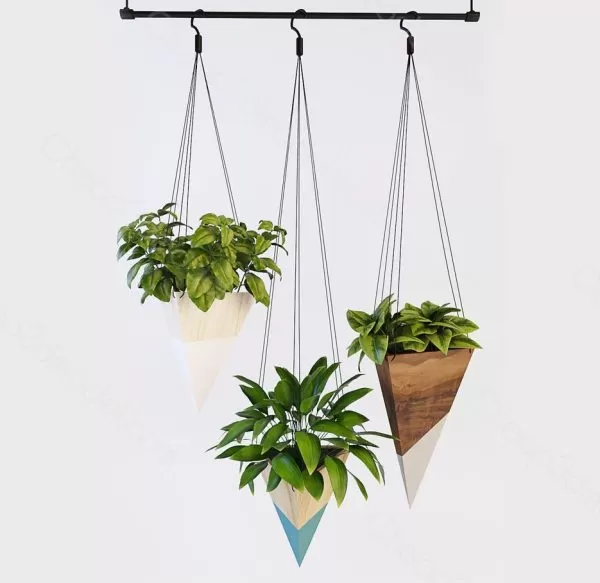 Plants – Flowers – 3D Models Download – Hanging plants 2 Plants – Flowers – 3D Models Download – Hanging plants 2