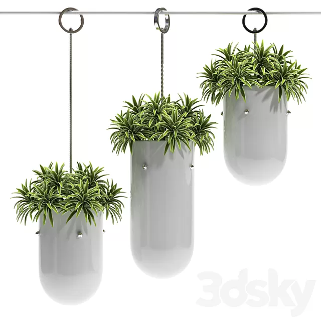 Plants – Flowers – 3D Models Download – HANGING VASE 3 Plants – Flowers – 3D Models Download – HANGING VASE 3