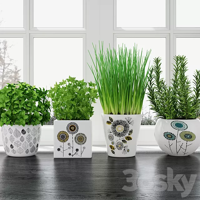 Plants – Flowers – 3D Models Download – Herbs in pots Plants – Flowers – 3D Models Download – Herbs in pots