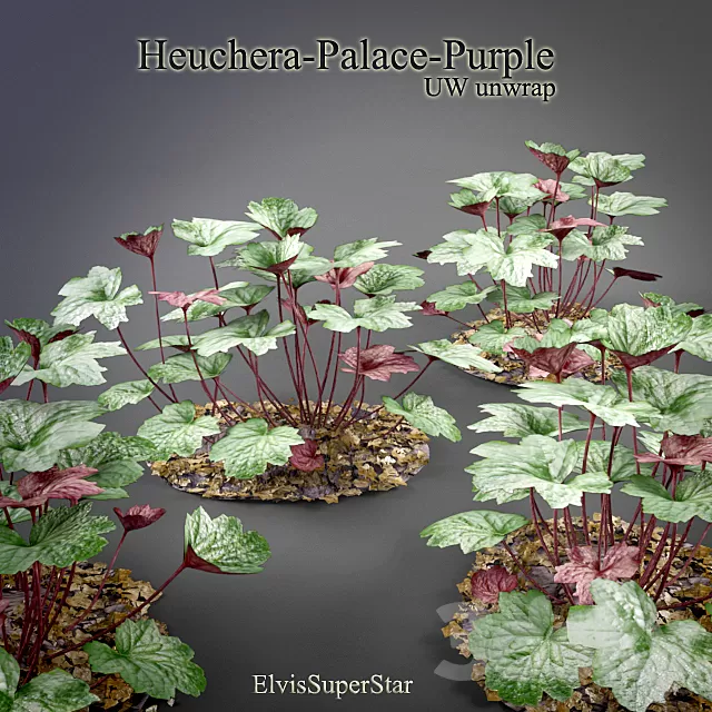 Plants – Flowers – 3D Models Download – Heuchera – Palace – Purple Plants – Flowers – 3D Models Download – Heuchera – Palace – Purple