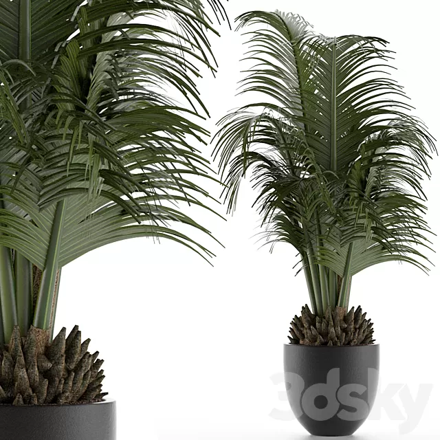 Plants – Flowers – 3D Models Download – House Plant 30 Plants – Flowers – 3D Models Download – House Plant 30