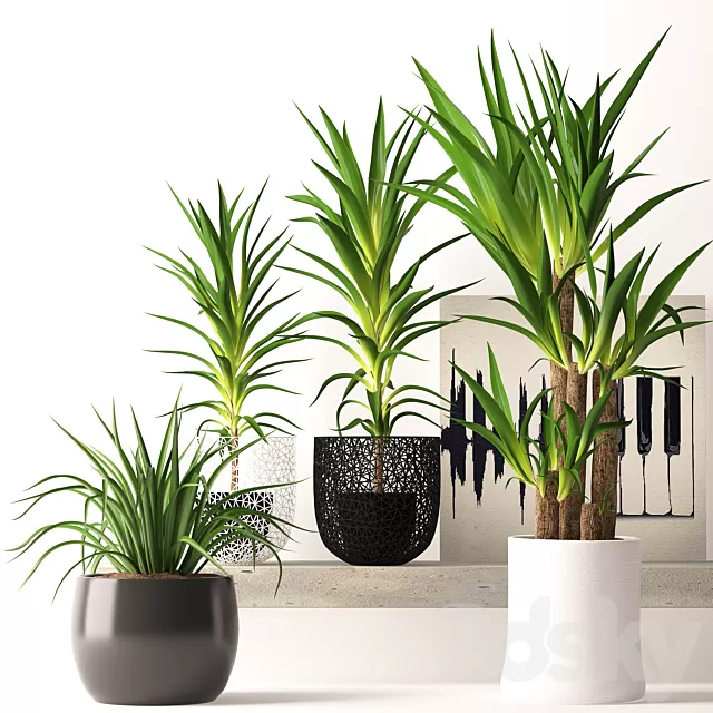 Plants – Flowers – 3D Models Download – Houseplant Set Plants – Flowers – 3D Models Download – Houseplant Set