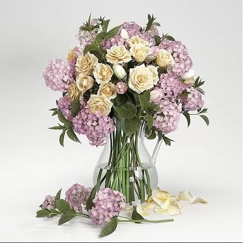 Plants – Flowers – 3D Models Download – Hydrangea 2 Plants – Flowers – 3D Models Download – Hydrangea 2