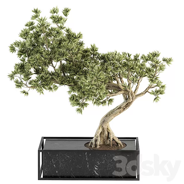 Plants – Flowers – 3D Models Download – indoor Plant Set 225 – Bonsai Plant Plants – Flowers – 3D Models Download – indoor Plant Set 225 – Bonsai Plant