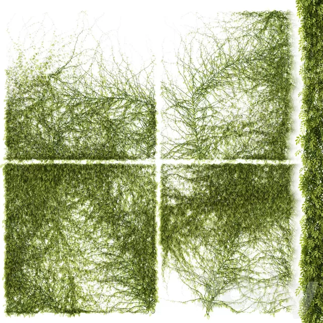 Plants – Flowers – 3D Models Download – Leaves for walls v3 3D model