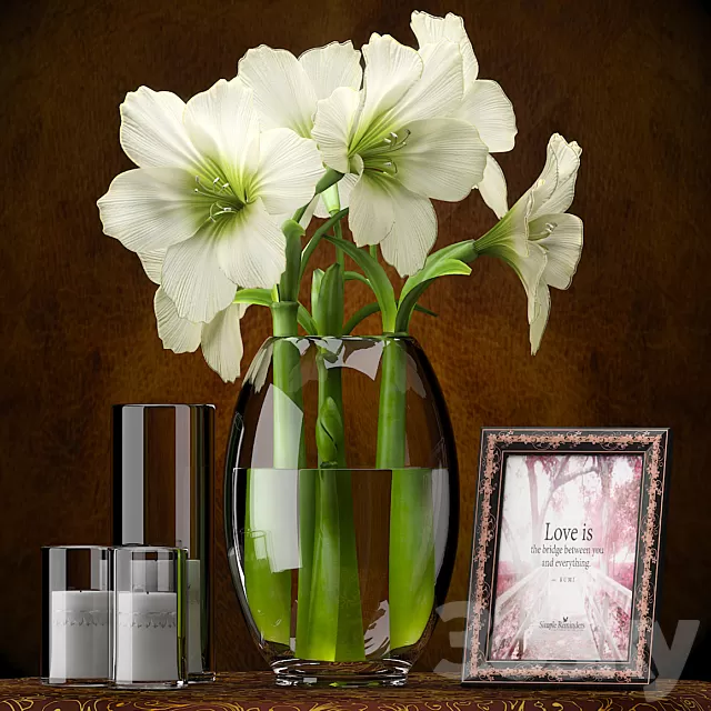 Plants – Flowers – 3D Models Download – LIGHT YELLOW AMARYLLIS