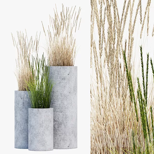 Plants – Flowers – 3D Models Download – Mone four