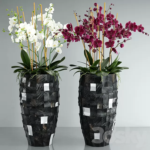 Plants – Flowers – 3D Models Download – Orchid 6