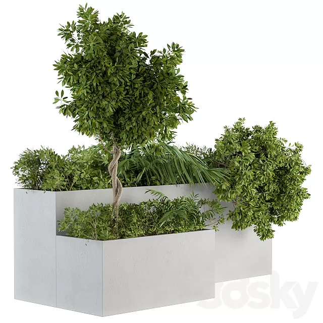 Plants – Flowers – 3D Models Download – Outdoor Plants Concrete Box Set 45 (for environment) Plants – Flowers – 3D Models Download – Outdoor Plants Concrete Box Set 45 (for environment)