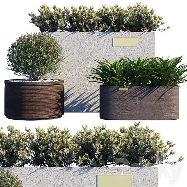 Plants – Flowers – 3D Models Download – Outdoor set 15 (plants in pots by Atelier Vierkant) Plants – Flowers – 3D Models Download – Outdoor set 15 (plants in pots by Atelier Vierkant)