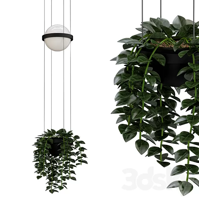 Plants – Flowers – 3D Models Download – Pendant lamp PALMA VIBI Plants – Flowers – 3D Models Download – Pendant lamp PALMA VIBI