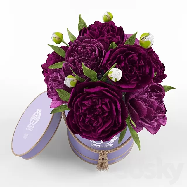 Plants – Flowers – 3D Models Download – Peonies in a box Plants – Flowers – 3D Models Download – Peonies in a box
