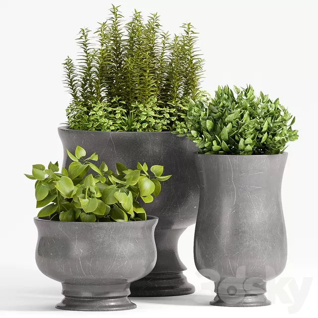 Plants – Flowers – 3D Models Download – PLANT – 45 Plants – Flowers – 3D Models Download – PLANT – 45