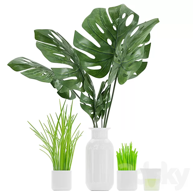 Plants – Flowers – 3D Models Download – Plant 04 (monstera; grass; aloe vera) Plants – Flowers – 3D Models Download – Plant 04 (monstera; grass; aloe vera)