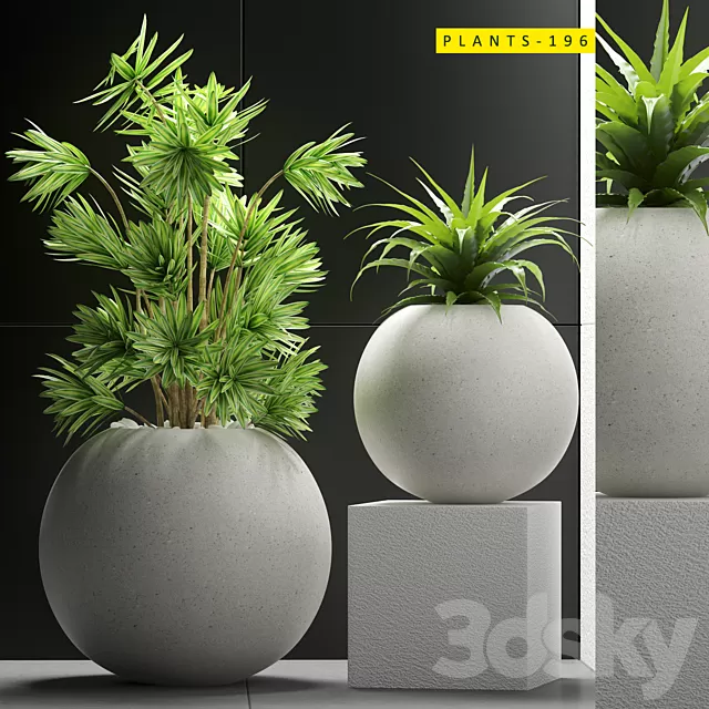 Plants – Flowers – 3D Models Download – Plant 196 Plants – Flowers – 3D Models Download – Plant 196