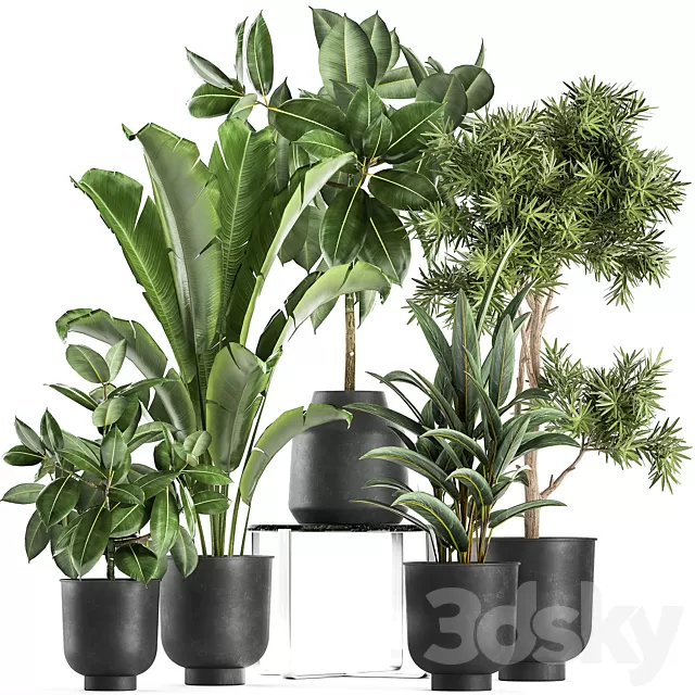 Plants – Flowers – 3D Models Download – Plant collection 855 in Vig Planter pots Plants – Flowers – 3D Models Download – Plant collection 855 in Vig Planter pots