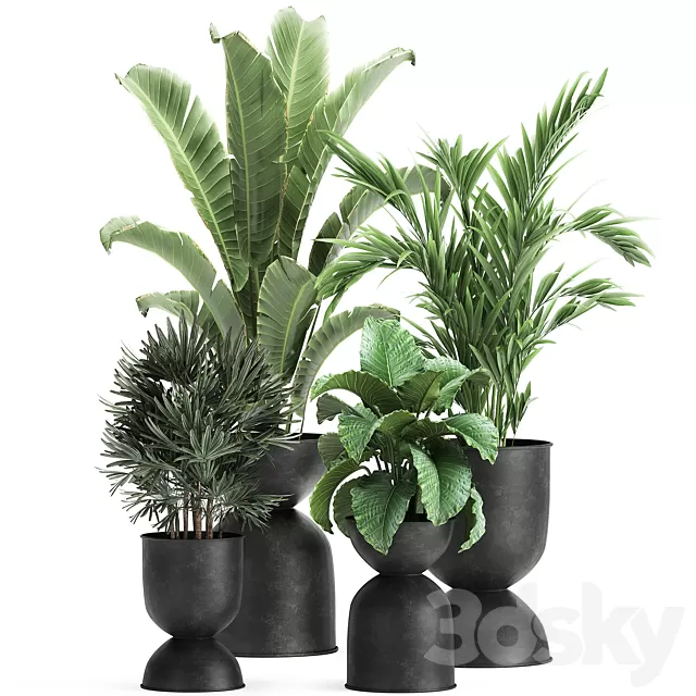 Plants – Flowers – 3D Models Download – Plant collection 897 Plants – Flowers – 3D Models Download – Plant collection 897