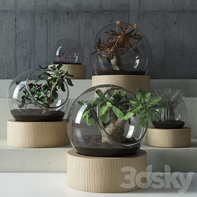 Plants – Flowers – 3D Models Download – Plant in glass Plants – Flowers – 3D Models Download – Plant in glass