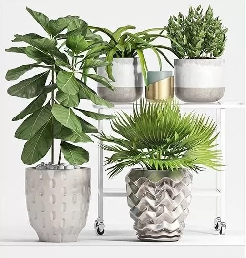 Plants – Flowers – 3D Models Download – Plant set 53 3d Models Plants – Flowers – 3D Models Download – Plant set 53 3d Models