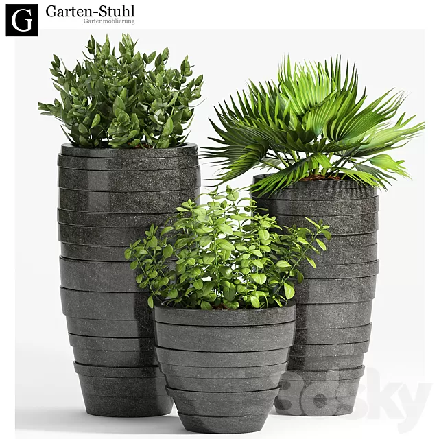 Plants – Flowers – 3D Models Download – PLANT-31 (max 2012; obj) Plants – Flowers – 3D Models Download – PLANT-31 (max 2012; obj)