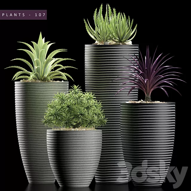 Plants – Flowers – 3D Models Download – Plants 106 Plants – Flowers – 3D Models Download – Plants 106