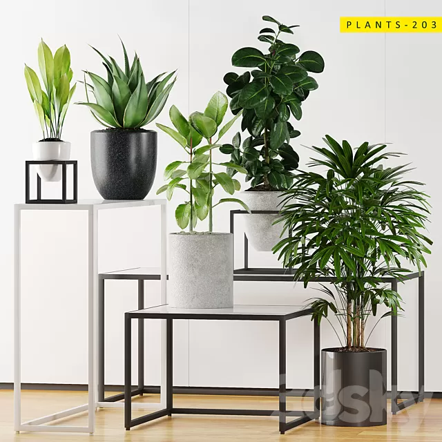 Plants – Flowers – 3D Models Download – Plants 203 Plants – Flowers – 3D Models Download – Plants 203