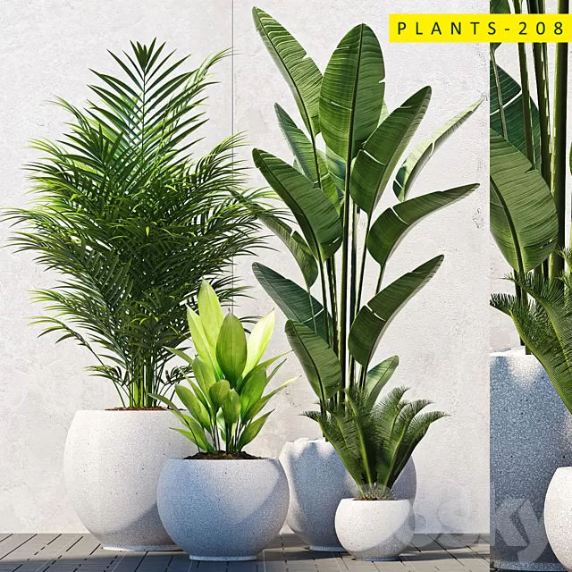 Plants – Flowers – 3D Models Download – Plants 208 Plants – Flowers – 3D Models Download – Plants 208
