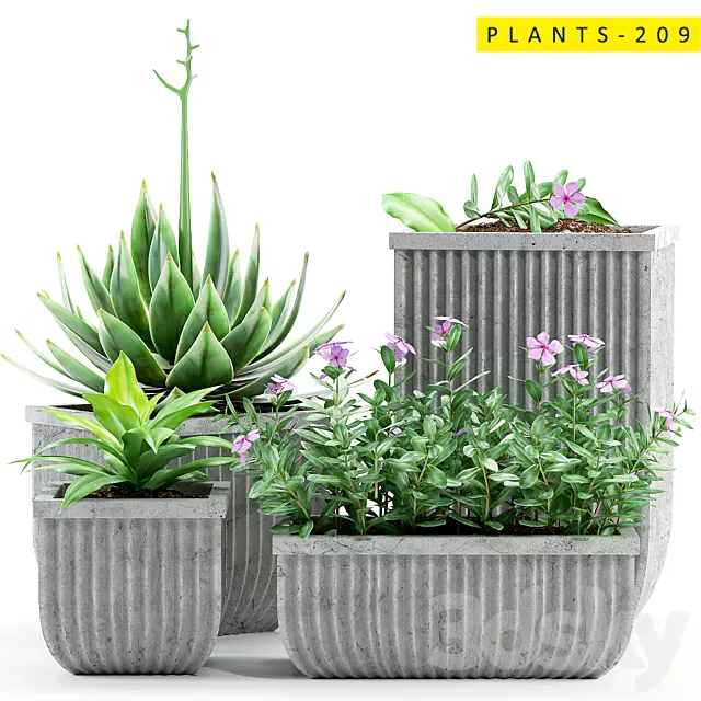 Plants – Flowers – 3D Models Download – Plants 209 Plants – Flowers – 3D Models Download – Plants 209