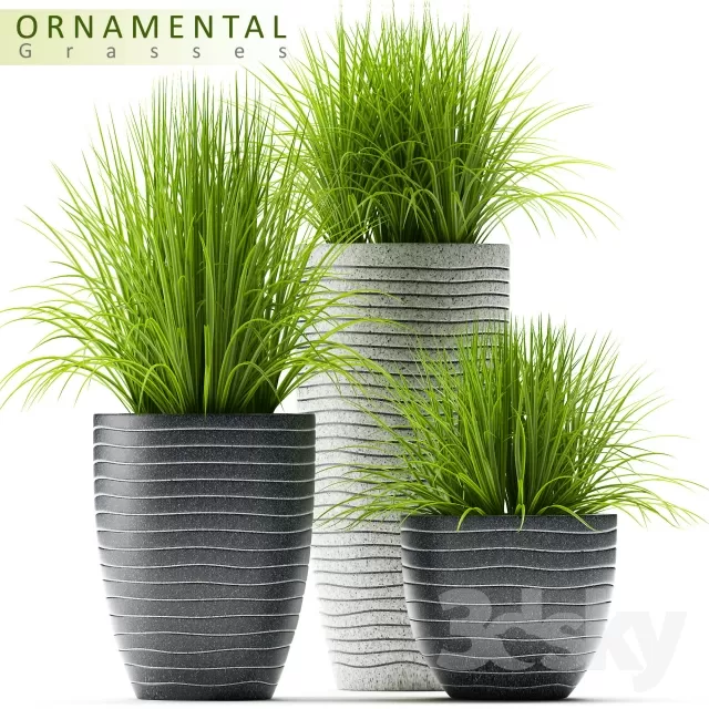 Plants – Flowers – 3D Models Download – PLANTS 46 Plants – Flowers – 3D Models Download – PLANTS 46