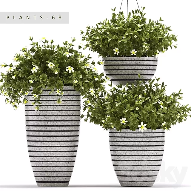 Plants – Flowers – 3D Models Download – PLANTS 68 Plants – Flowers – 3D Models Download – PLANTS 68