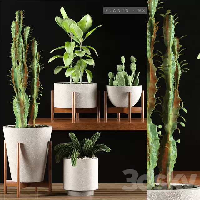 Plants – Flowers – 3D Models Download – PLANTS 98 Plants – Flowers – 3D Models Download – PLANTS 98