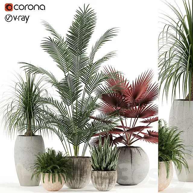 Plants – Flowers – 3D Models Download – Plants collection 122